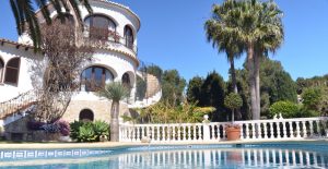 Lire la suite à propos de l’article Pellentesque habitant morbi tristique senectus